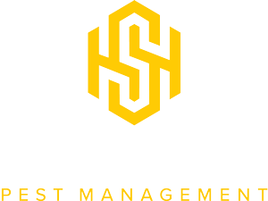 Safehands Pest Management NI